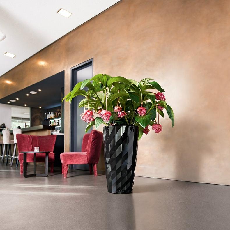 le_diamante_product_addi_01